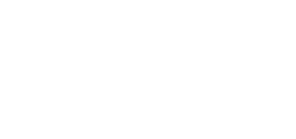 epassi logo